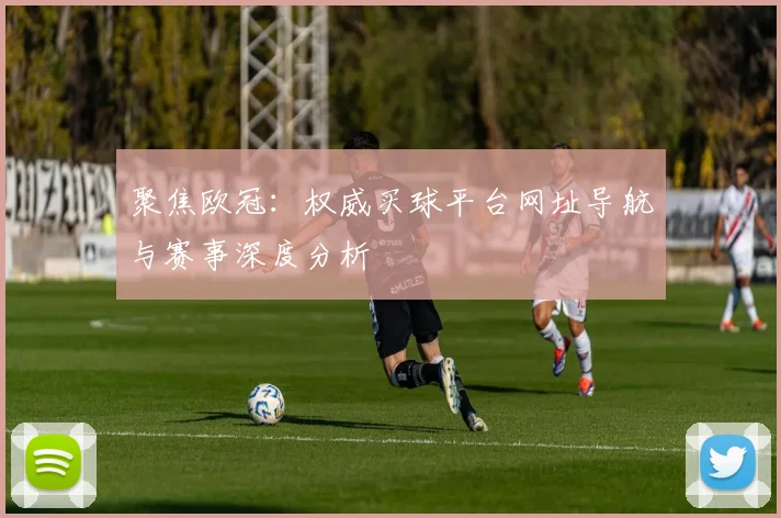 聚焦欧冠：权威买球平台网址导航与赛事深度分析