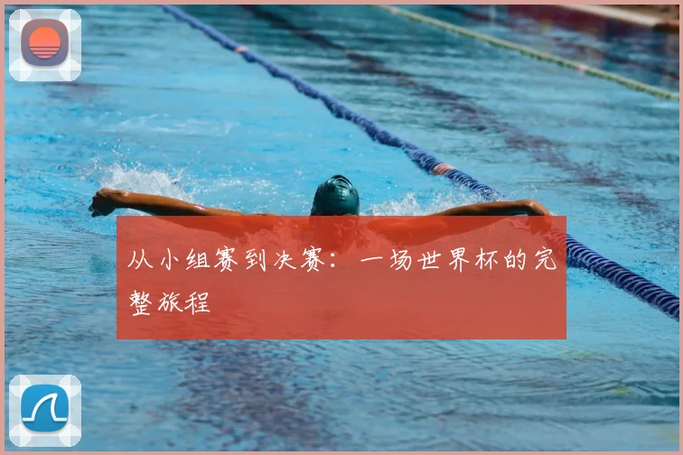 从小组赛到决赛：一场世界杯的完整旅程