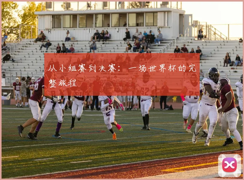 从小组赛到决赛：一场世界杯的完整旅程