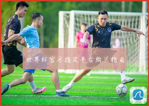 世界杯官方指定平台购买指南