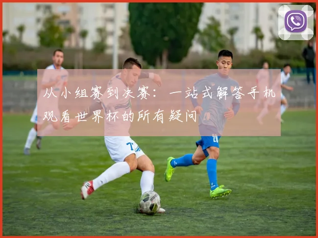 从小组赛到决赛:一站式解答手机观看世界杯的所有疑问