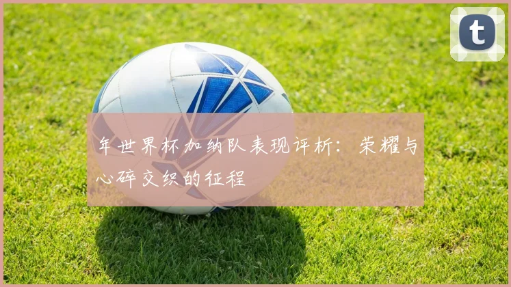 年世界杯加纳队表现评析：荣耀与心碎交织的征程