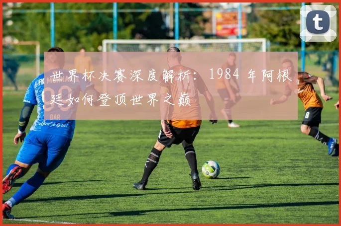 世界杯决赛深度解析：1984 年阿根廷如何登顶世界之巅