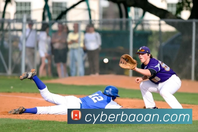 开云手机在线登录界面平台生态图