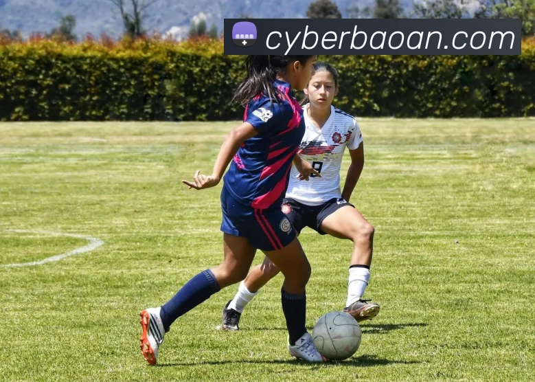 开云手机在线登录界面全站App 开云手机在线登录界面全站App